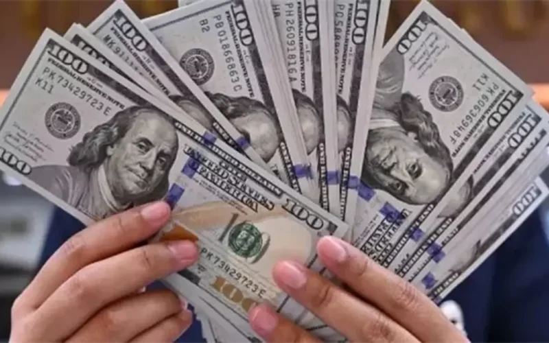 استقرار سعر صرف الدولار في البنوك مع تباين قيمته بين المصارف